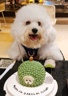 2D Dog/Cat Durian Cake - Pets Delight Bakery Pte Ltd