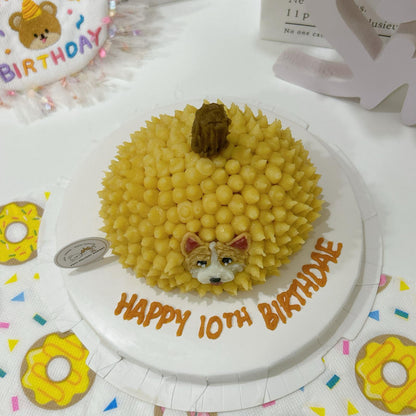 2D Dog/Cat Durian Cake - Pets Delight Bakery Pte Ltd