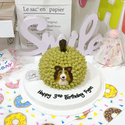 2D Dog/Cat Durian Cake - Pets Delight Bakery Pte Ltd