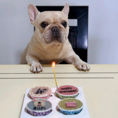 2D Dog/Cat Pupcakes (Same-day) - Pets Delight Bakery Pte Ltd