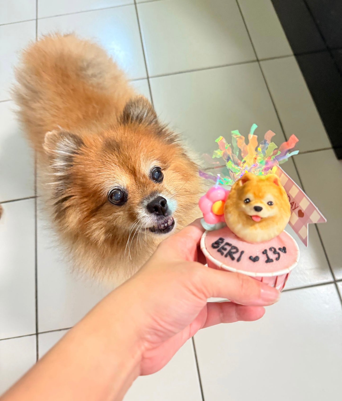3D Dog/Cat Individual Pupcake