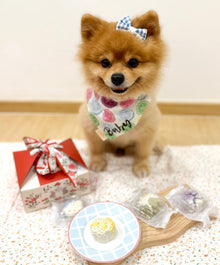 Snow Skin Pet Mooncake For Dogs & Cats