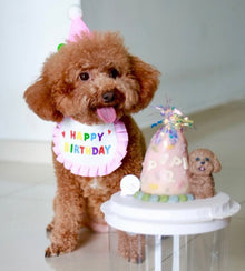 3D Confetti Pop Pup Dog/Cat Cake - Pets Delight Bakery Pte Ltd