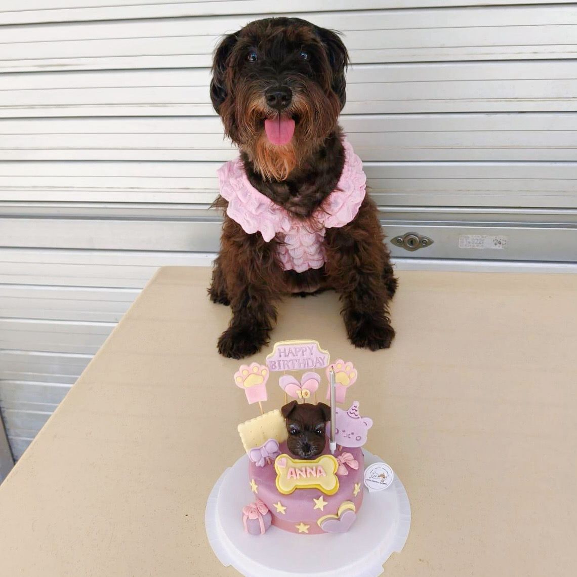 3D Customized 2 tone frosting Dog/Cat Cake - Pets Delight Bakery Pte Ltd