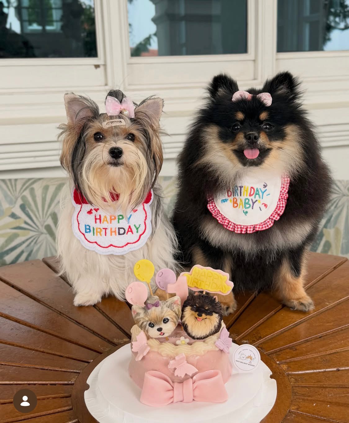 3D Customized Dog/Cat Pastel Butterflies Cake - Pets Delight Bakery Pte Ltd