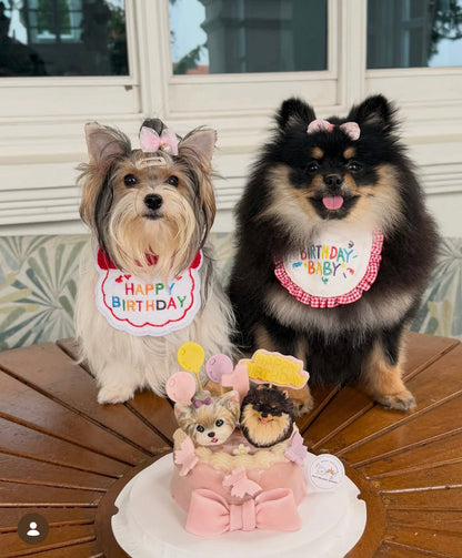 3D Customized Dog/Cat Pastel Butterflies Cake - Pets Delight Bakery Pte Ltd