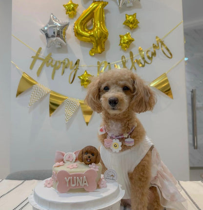 3D Customized Dog/Cat Ribbon Flowers Cake - Pets Delight Bakery Pte Ltd