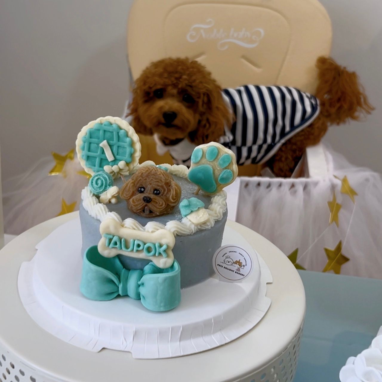 3D Customized Paws - up Cake - Pets Delight Bakery Pte Ltd