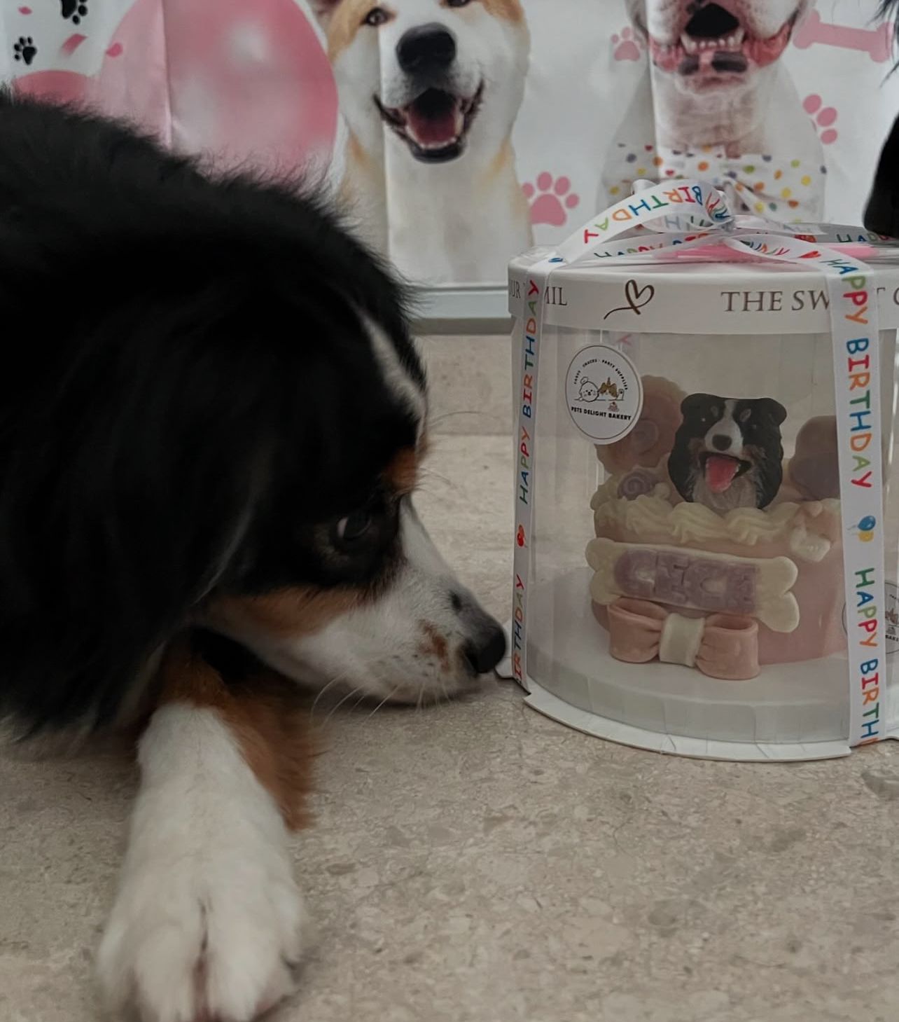 3D Customized Paws - up Cake - Pets Delight Bakery Pte Ltd