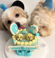 3D Customized Paws - up Cake - Pets Delight Bakery Pte Ltd