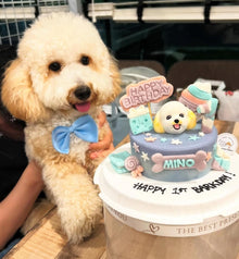 3D Customized Sweet Candyland Dog/Cat Cake - Pets Delight Bakery Pte Ltd