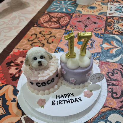 3D Dog/Cat Double Delight Mini Cake Platter - Pets Delight Bakery Pte Ltd