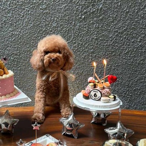 3D Dog/Cat Pets Sushi Cake (all edible) - Pets Delight Bakery Pte Ltd