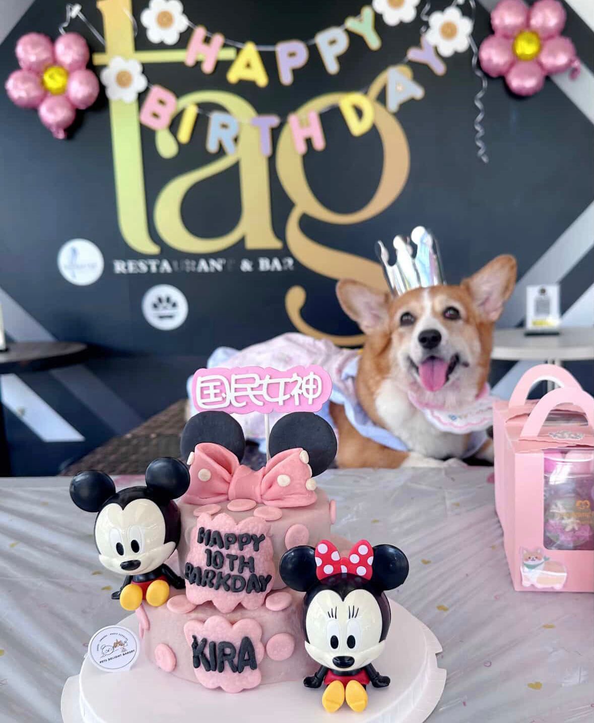 3D Mickey Mouse themed Dog & Cat Cake - Pets Delight Bakery Pte Ltd