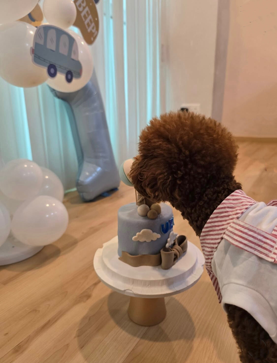 3D Customized Dog/Cat Hot Air Balloon Tall Cake