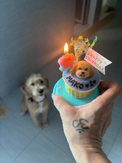 3D Dog/Cat Individual Pupcake