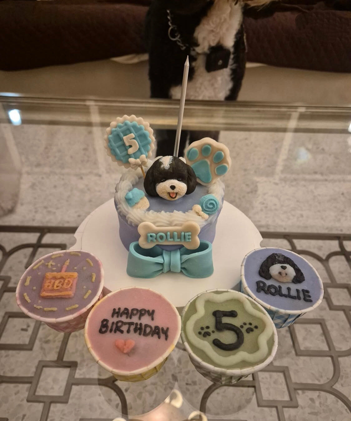 3D Customized Dog/Cat Cake + Cupcake Bundle Set