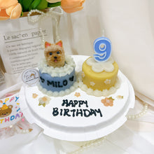 3D Dog/Cat Double Delight Mini Cake Platter