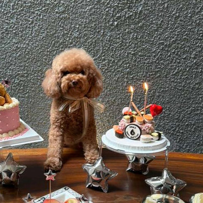 3D Dog/Cat Pets Sushi Cake (all edible)