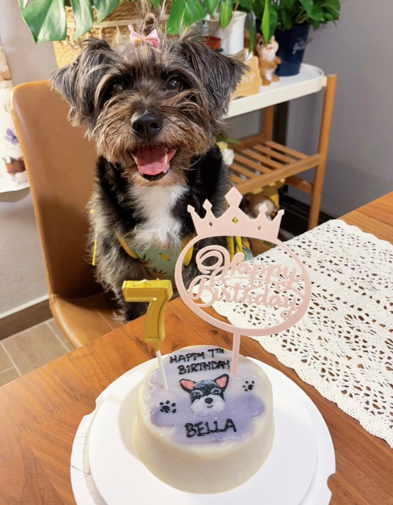 2D Custom Dog/Cat on Rainbow Cake