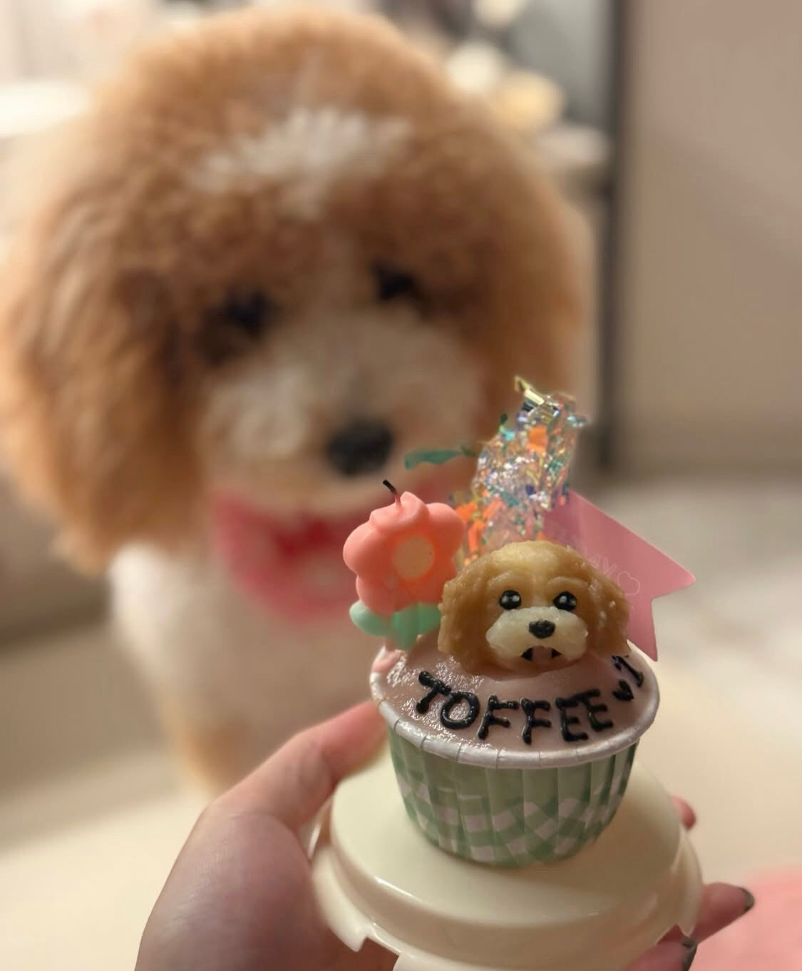 3D Dog/Cat Individual Pupcake