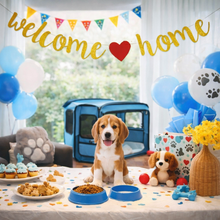 Welcome Home Banner Set