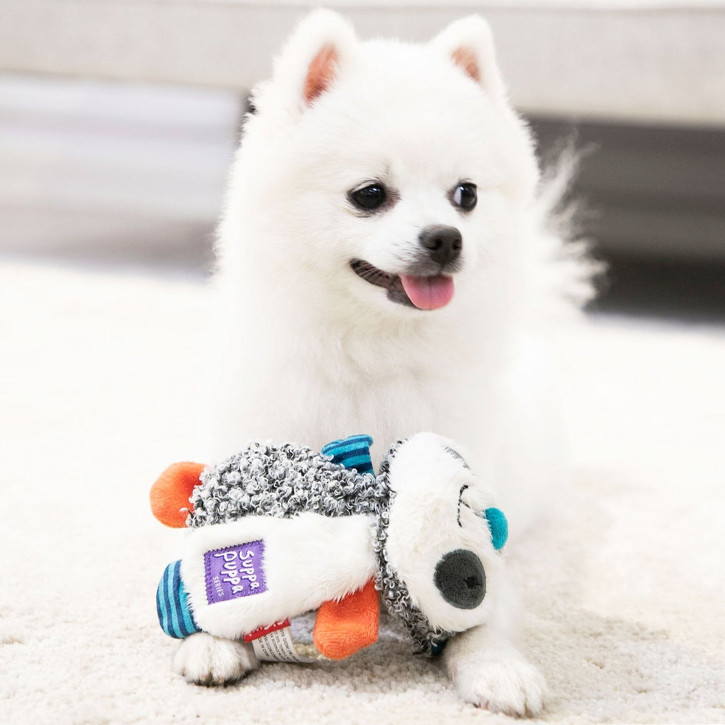 Pets Welcome Home/HBD/ Gotcha Day Bundle Set