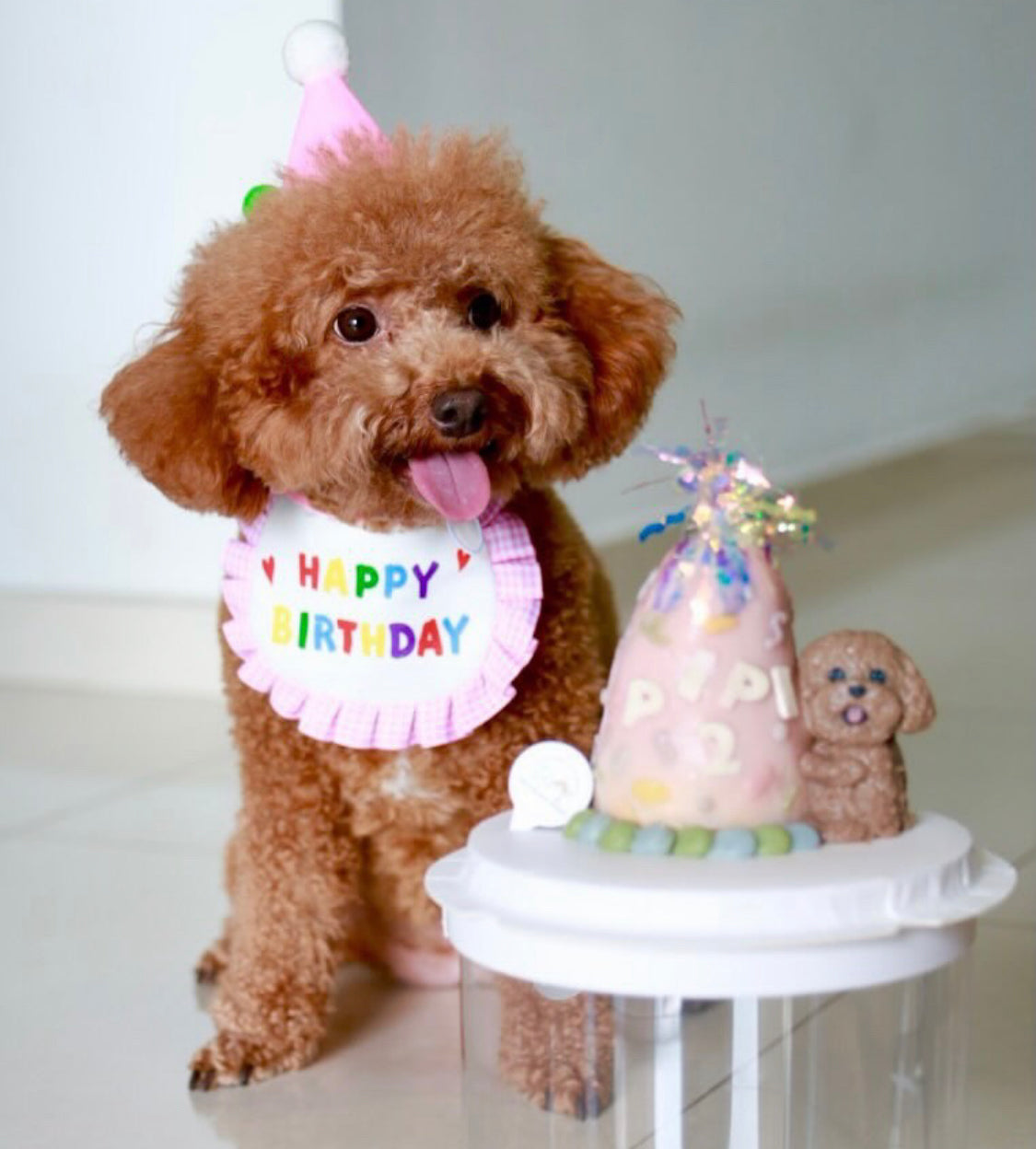 3D Confetti Pop Pup Dog/Cat Cake