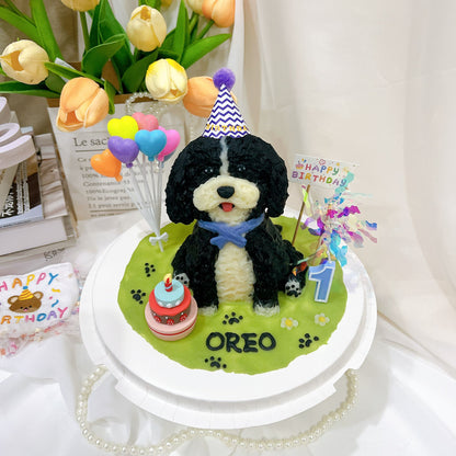 Custom Doodle Full Body Cake