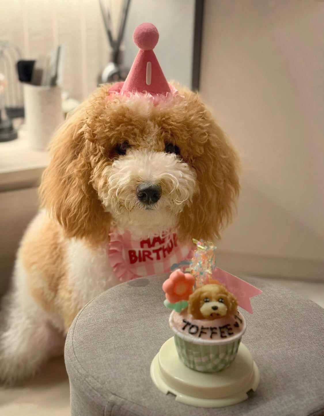 3D Dog/Cat Individual Pupcake