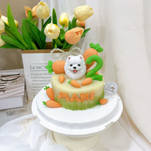 3D Custom Dog/Cat Carrots Cake
