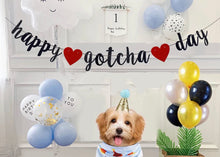 Happy Gotcha Day Banner Set