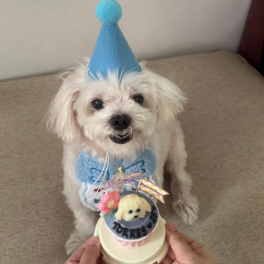 3D Dog/Cat Individual Pupcake