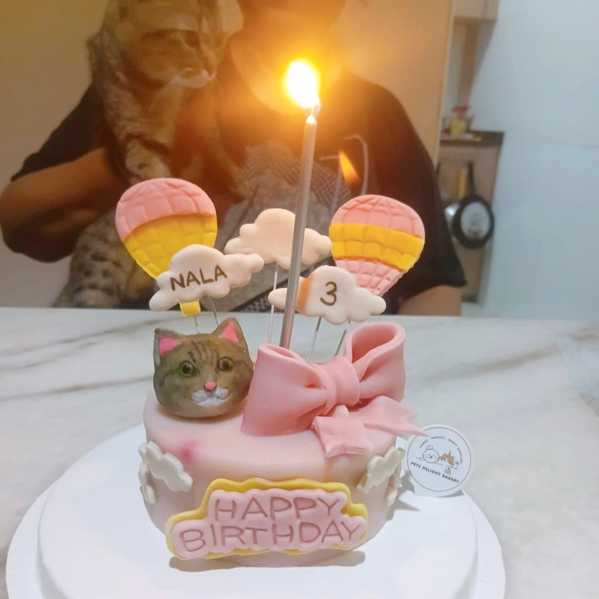 3D Customized Hot Air Balloon Dog/Cat Cake