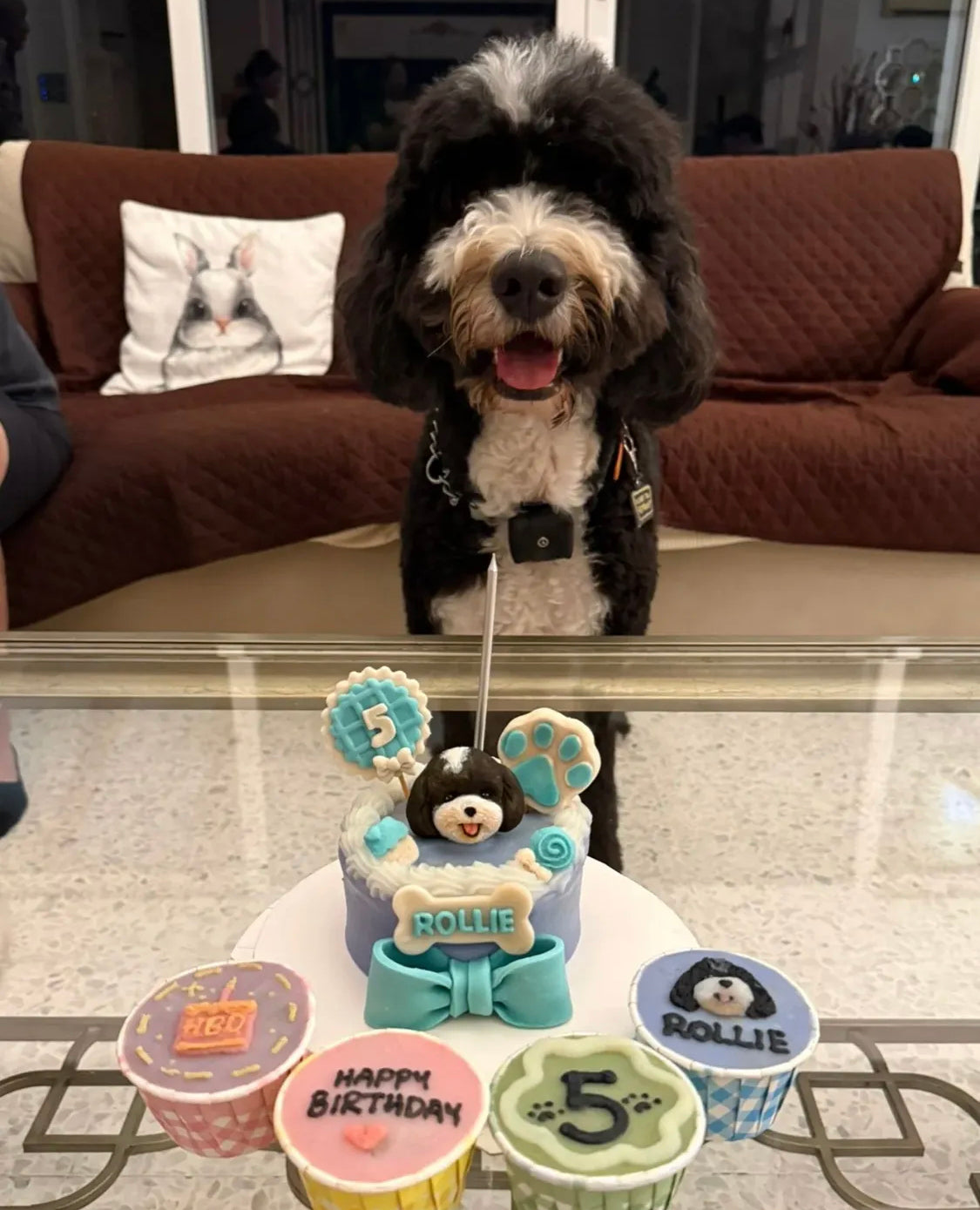 3D Customized Dog/Cat Cake + Cupcake Bundle Set