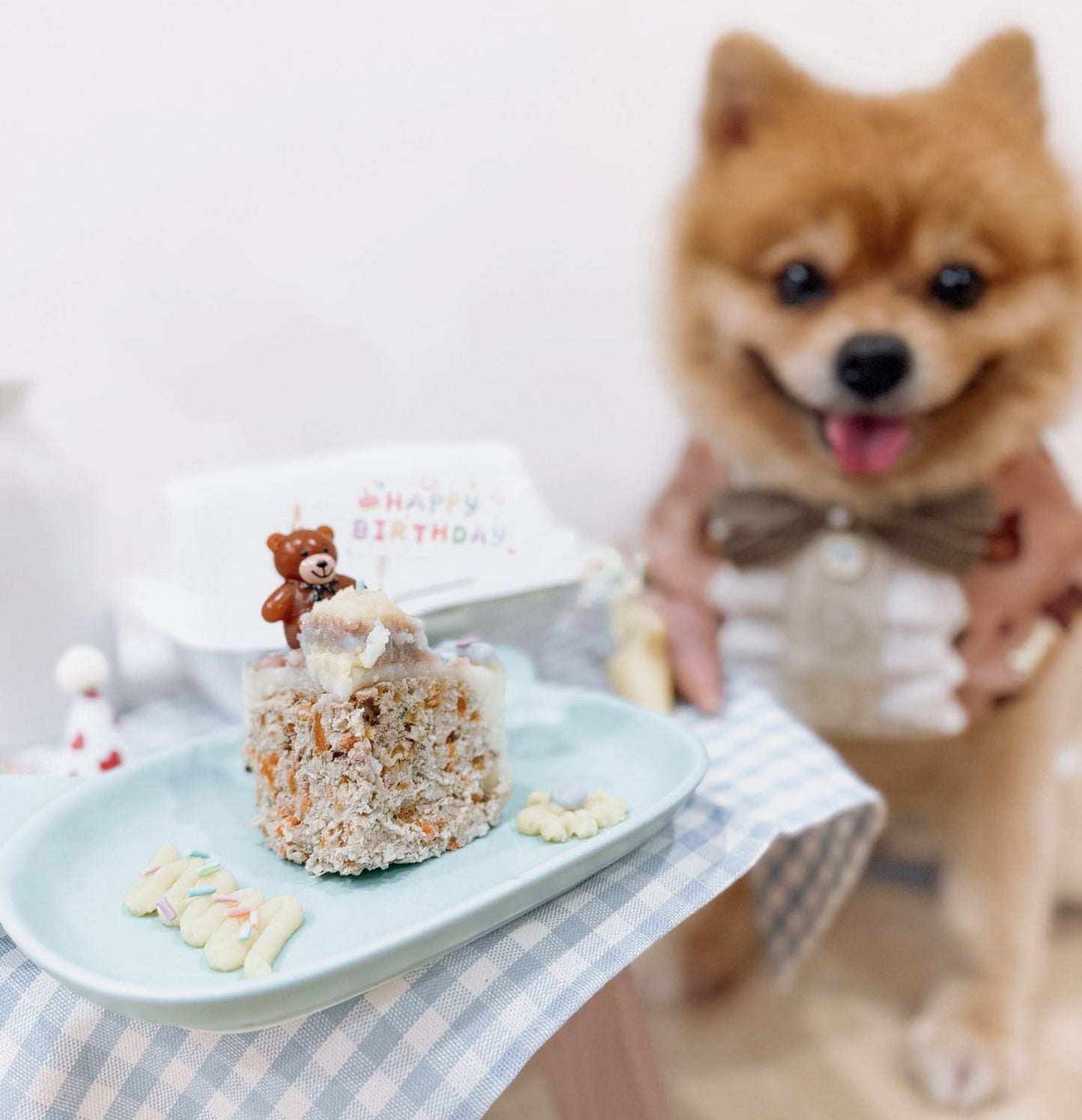 Playful Pets DIY Cake Kit