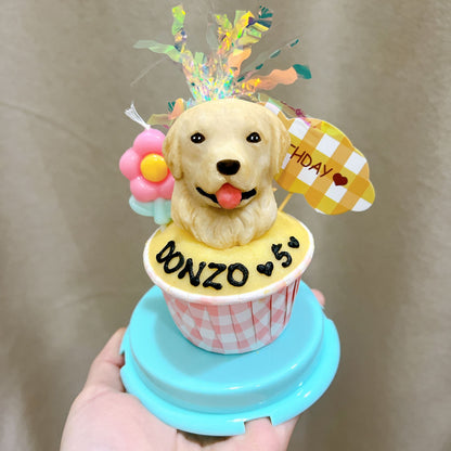 3D Dog/Cat Individual Pupcake