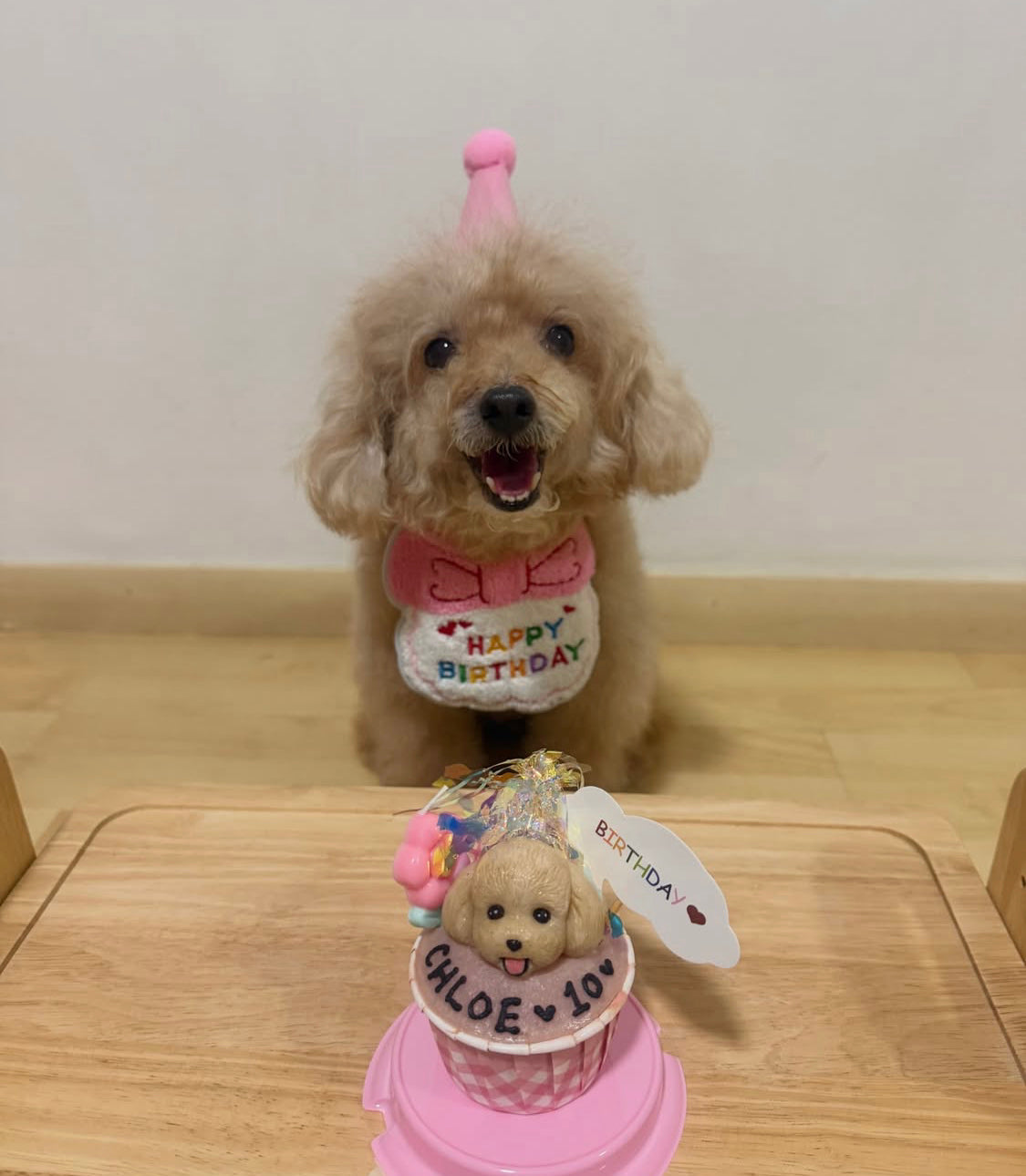 3D Dog/Cat Individual Pupcake