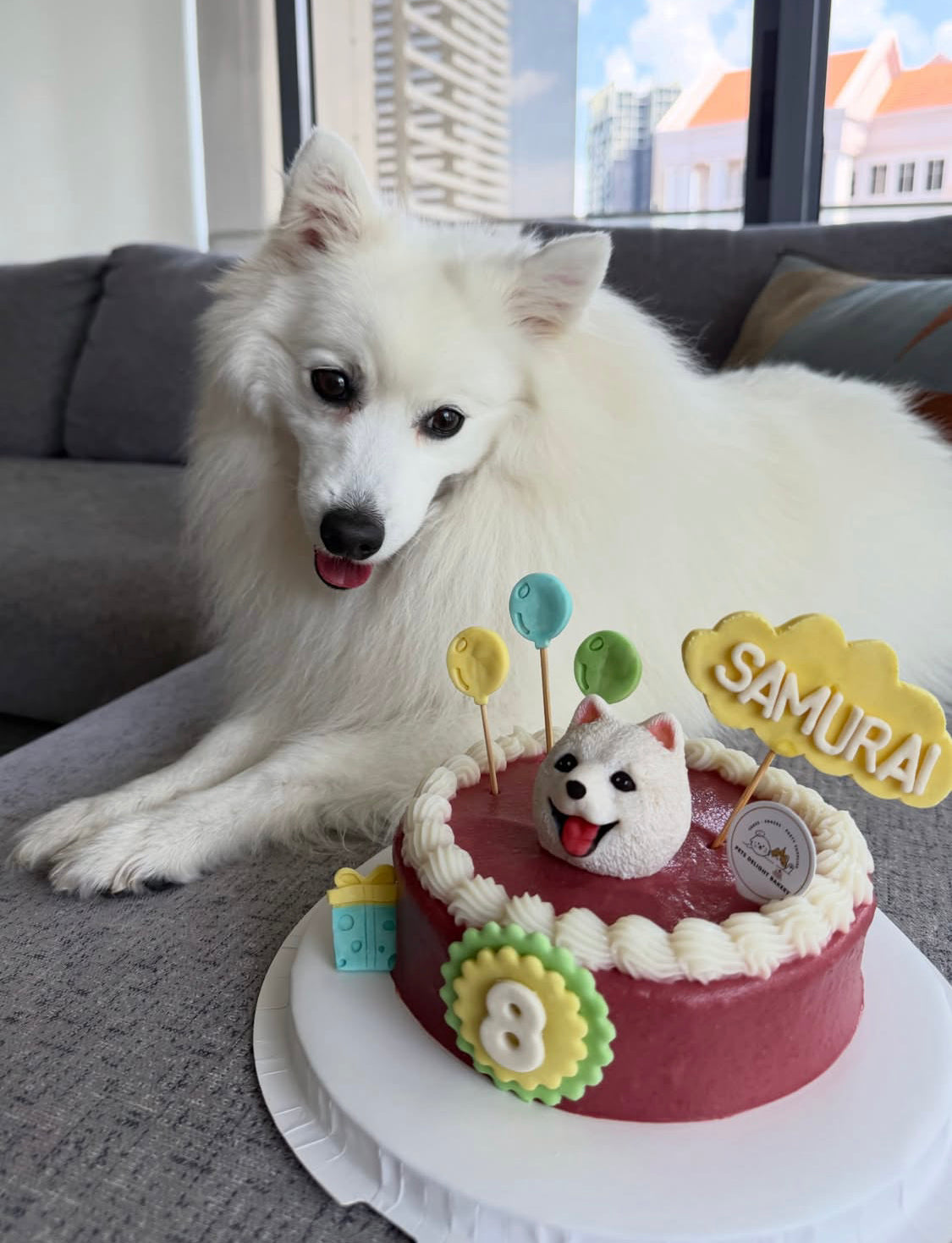 3D Customized Dog/Cat with Balloons & Cloud Cake