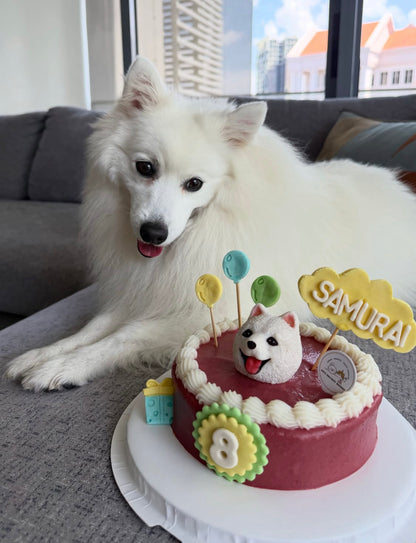 3D Customized Dog/Cat with Balloons & Cloud Cake