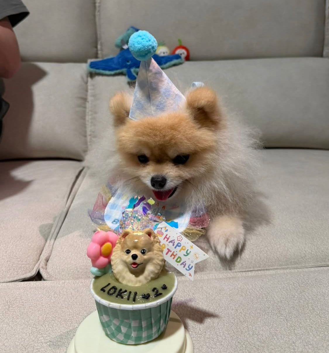 3D Dog/Cat Individual Pupcake