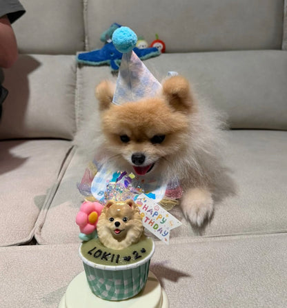 3D Dog/Cat Individual Pupcake