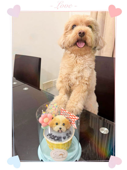 3D Dog/Cat Individual Pupcake