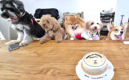 2D Custom Dog/Cat Simple Cake (Same-day)