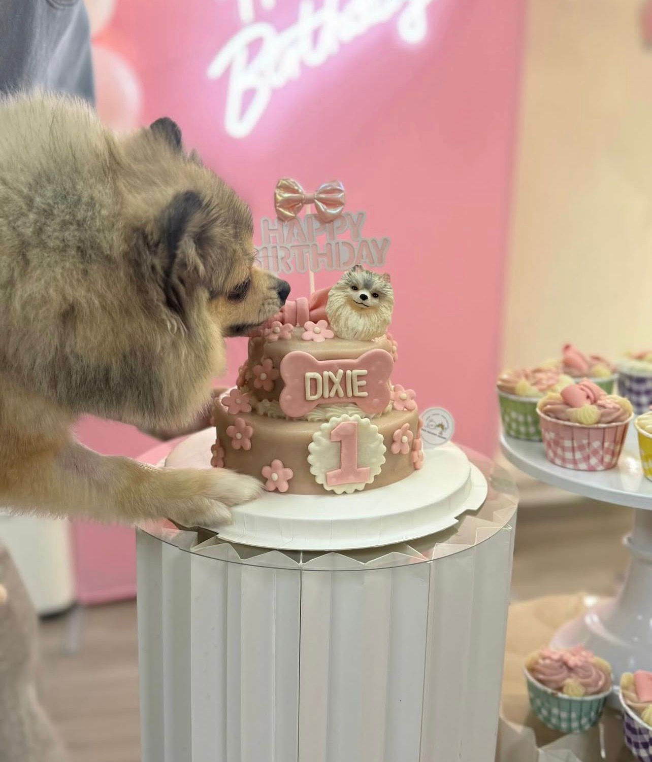 3D Customized Dog/Cat Ribbon Flowers Cake