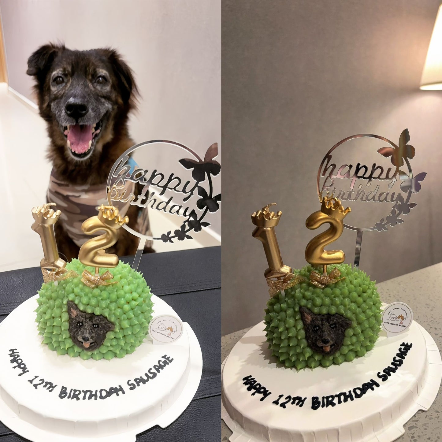 2D Dog/Cat Durian Cake