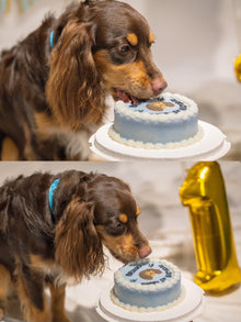 2D Custom Dog/Cat Simple Cake (Same-day)
