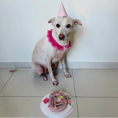Cat Dog Barkday/Gotcha Day Number Cake