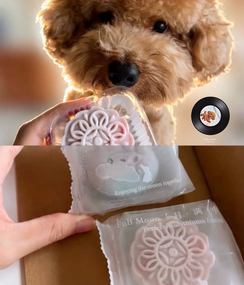 Snow Skin Pet Mooncake For Dogs & Cats