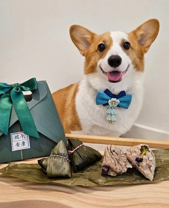 Bark Zhang/Meat Dumplings For Dogs & Cats (SOLD OUT) - Pets Delight Bakery Pte Ltd